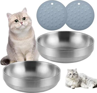 Immagine prodotto di Set di 2 ciotole per gatti in acciaio inossidabile; ciotola piatta per gattini; ciotola antiscivolo con 2 tappetini antiscivolo da 300 ml