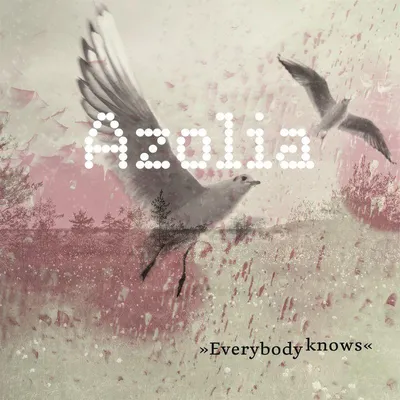 Produktbild von Everybody Knows (Limited Edition)