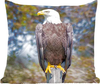 Produktbild von MuchoWow® Zierkissen Sofakissen Wohnzimmer Dekokissen 45x45 cm Ein Weißkopfseeadler auf einer Stange schaut zur Seite - Schlafpolster - Polster für das Sofa