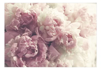 Produktbild von Vlies Fototapete Blumen 450x315 cm Tapeten Wandtapete XXL Blumen Natur Botanik Pfingstrosen Päonie rosa b-B-0616-a-a