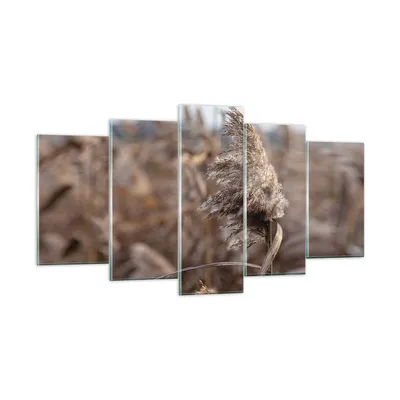 Produktbild von Bilder auf glas - 5 Teile - Boho Ähren Gras - 160x85cm - Glasbilder - Wandbilder - Bilder - zum Aufhängen bereit - Wanddekoration aus Glas - Glas Bilder - Wandbild auf Glas - GEA160x85-4763