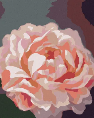 Image de Zuty - Peinture par numéros - PIVOŇKY 6 (MYROSLAVA VOLOSCHUK), 40 x 50 cm, toile tendue sur châssis