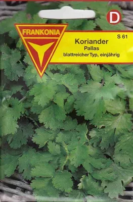 Produktbild von Koriander Pallas