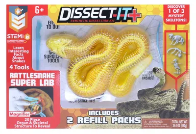 Produktbild von DISSECT-IT – Sezieren einer Klapperschlange – Mega-Geschenkbox