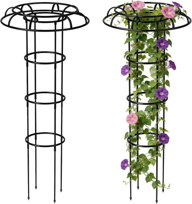 Produktbild von Pflanzengitter Obelisk, 120 cm, freistehend, für Kletterpflanzen