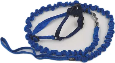 Image de Harnais pour chat Easywalk  - Harnais pour chat Easywalk bleu roi, taille S