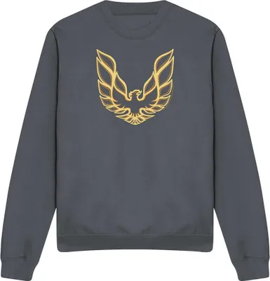 Imagen del producto de Sudadera uni Pontiac "Iconic Firebird" para hombre/mujer, modelo TV20171 (talla S), color carbón