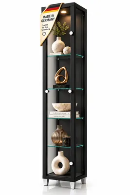 Produktbild von AGIONDA Standvitrine Sammlervitrine Schwarz mit LED, 1 Glastür und 4 Glasböden, 172 cm