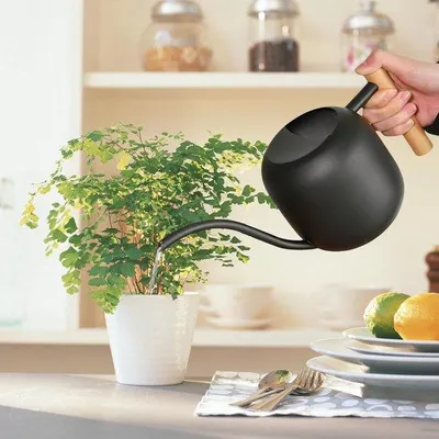 Productafbeelding van Famanu gieter, 1200 ml - roestvrij staal, zwart, voor kamerplanten
