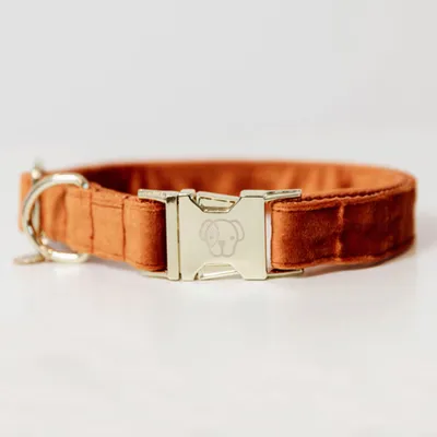 Obrázok produktu pre Kentucky Dogwear Obojok pre psov Velvet Collar Orange XS