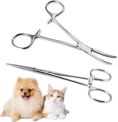 Produktbild von Ibenzoa® Piercingzangen-Set 2er – 12,5 cm, rostfreier Edelstahl, 1x gerade & 1x Winkelzange, Silber – präzise Zangen für Piercing, Handwerk & Tierpflege