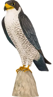 Immagine prodotto di Giardino naturale, decorazione per uccelli, falco "Wanderfalke", intagliato a mano