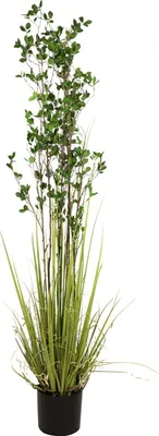 Obrázek produktu pro Europalms Immergrünstrauch mit Gras Kunstpflanze 182 cm 82600185