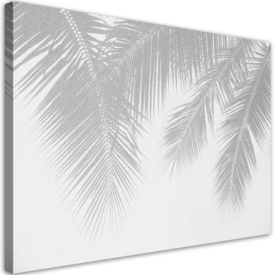 Produktbild von Leinwandbild Graue Palmblätter 60x40 Feeby Grau bild für die wand bereit zum aufhängen