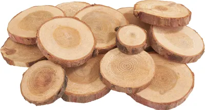 Produktbild von Pinienscheiben-Mix 2.0 bis 4.0 cm 100 g 0.7 cm Stärke Naturholz Deko Basteln
