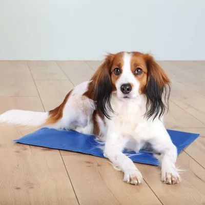 Produktbild von TRIXIE Kühlmatte für Hunde - 110 × 70 cm