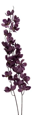Immagine prodotto di Clayre & Eef Fiore artificiale 10x10x110 cm Viola in plastica