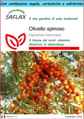 Immagine prodotto di SAFLAX Set regalo - Olivello spinoso - 40 semi - Hippophae