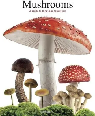 Immagine prodotto di Mushrooms