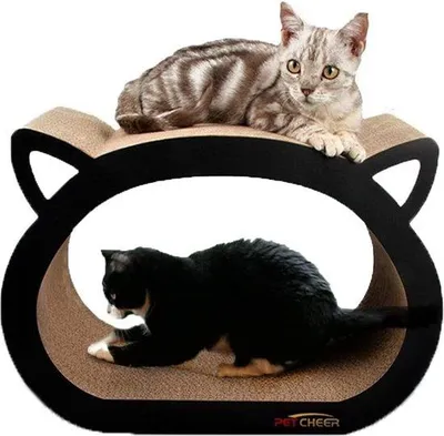 Image de Arbre à chat Lounge avec herbe à chat