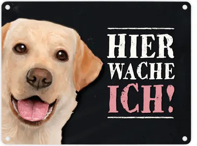 Produktbild von Metallschild mit Labrador Motiv und Spruch: Hier wache ich! Metallschild