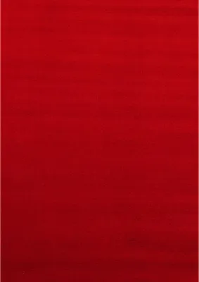 Produktbild von Kurzflor Teppich SKY Rot 80 x 150 cm