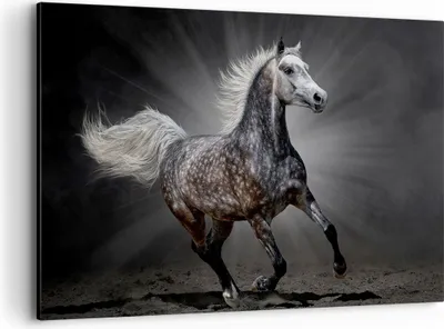 Produktbild von Bild auf Leinwand - Leinwandbild - Pferd Tier Natur - 120x80cm - Wand Bild - Wanddeko - Wandbilder - Leinwanddruck - Bilder - Kunstdruck - Wanddekoration - Leinwand bilder - Wandkunst - AA120x80-3593