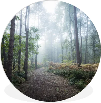 Produktbild von MuchoWow® Rundes Wandbild - Runde Bilder Wald - Nebel - Weg Ø 90 cm Kreis Wanddekoration Kunststoff - Wandkreis - Wandschmuck - Wand-Kreis - Wohnzimmer - Bild - Runde - Wanddeko - Dibond - Kunstdrucke