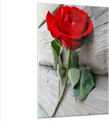 Produktbild von Bilder auf glas - Einteilig - Blume Holz Pflanze - 80x120cm - Glasbilder - Wandbilder - Bilder - zum Aufhängen bereit - Wanddekoration aus Glas - Glas Bilder - Wandbild auf Glas - GPA80x120-0103