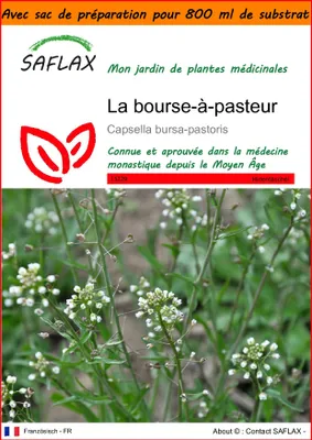 Image de SAFLAX Garden in the bag - La bourse-à-pasteur - 1000 graines - Capsella
