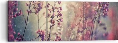Produktbild von Bild auf Leinwand - Leinwandbild - 3 Teile - Blumen Regen Licht - 90x30cm - Wand Bild - Wanddeko - Wandbilder - Leinwanddruck - Bilder - Wanddekoration - Leinwand bilder - Wandbild - CA90x30-4218
