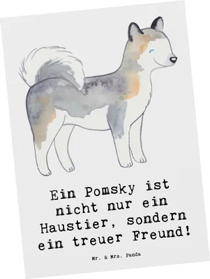 Produktbild von Mr. & Mrs. Panda Postkarte Pomsky Freund - Weiß - Geschenk, bildkarte, Hunderassen, Hunderasse, Verspieltheit, Husky, Grußkarte, Loyalität, Postkarten, Charakter