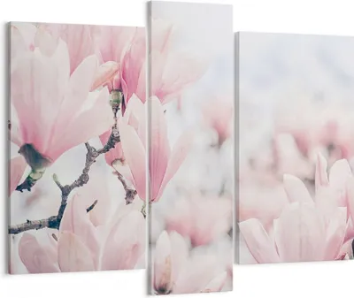 Produktbild von Bild auf Leinwand - Leinwandbild - 3 Teile - Magnolie Blumen Rosa - 95x80cm - Wand Bild - Wanddeko - Wandbilder - Leinwanddruck - Bilder - Wanddekoration - Leinwand bilder - Wandbild - CB95x80-4396