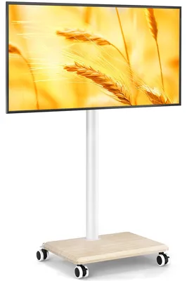 Productafbeelding van Mobiele TV-Standaard op Wielen voor 27-55 Inch TV - Draai- en Hoogteverstelbaar