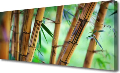 Produktbild von Tulup Leinwand-Bilder 125x50 Wandbild Canvas Kunstdruck Bambusrohr Natur