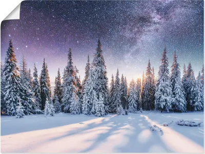 Produktbild von ARTland Poster Tannenwald im Schnee vorm Sternenhimmel Größe: 40x30 cm