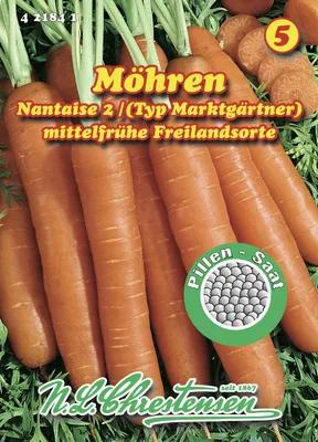 Produktbild von Speisemöhre Nantaise 2 (Pillensaat) | Möhrensamen von N.L. Chrestensen
