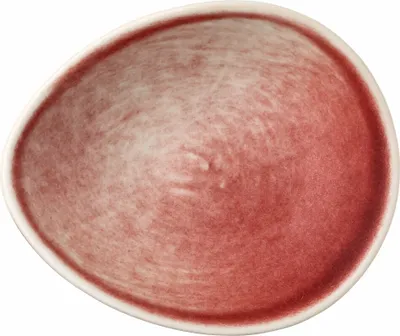 Produktbild von Rosenthal Dipschale Scarlet 10590-405212-15396
