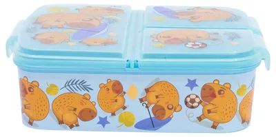 Pokémon Brotdose 3 Fächer 2156 ml BPA-frei Kinder