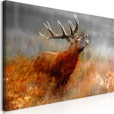 Produktbild von Wandbild Mega XXXL Hirsch 250x125 cm Einteiliger XXL-Format Kunstdruck zur Selbstmontage Leinwandbilder moderne Bilder DIY Wanddekoration Wohnung Deko Natur Tier Landschaft g-C-0058-ak-f