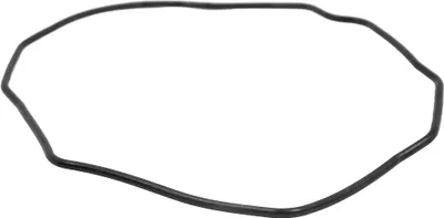 Produktbild von Casio > Gehäusebodendichtung 10630745 > Gummi schwarz GWG-2000-1A1