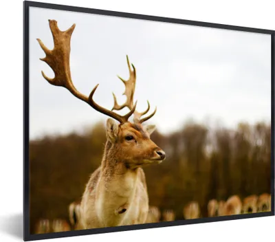 Produktbild von MuchoWow® Gerahmtes Poster Damhirsch - Wald - Herde - Tiere - Natur 40x30 cm - Poster mit Schwarzem Bilderrahmen Wandposter Rahmen Foto Bilder - Kunstposter - Wanddekorationen