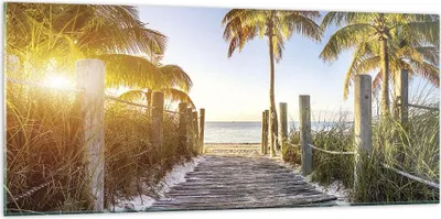 Produktbild von Bilder auf glas - Einteilig - Strand Palmen Fußgängerbrücke - 120x50cm - Glasbilder - Wandbilder - Bilder - Wanddekoration aus Glas - Glas Bilder - Wandbild auf Glas - GAB120x50-4171