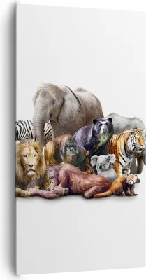 Produktbild von Bild auf Leinwand - Leinwandbild - Tiere Koala Löwe Affe - 65x120cm - Wand Bild - Wanddeko - Leinwanddruck - Bilder - Kunstdruck - Wanddekoration - Leinwand bilder - Wandkunst - PA65x120-3166