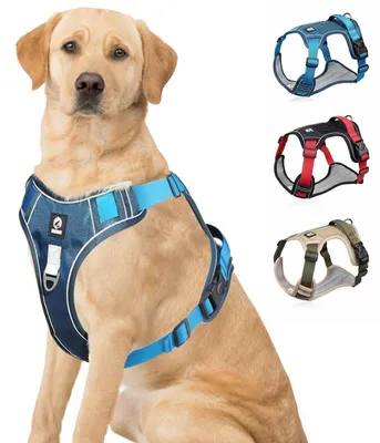 Produktbild von Hundegeschirr Anti Zug Verstellbar Gepolstert Reflektierend Blau XL