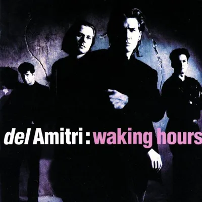 Produktbild von Del Amitri: Waking Hours
