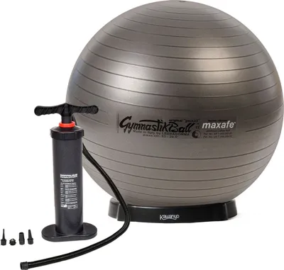Produktbild von Original Pezzi® Gymnastikball MAXAFE m. Standpumpe u. Ballschale - anthra