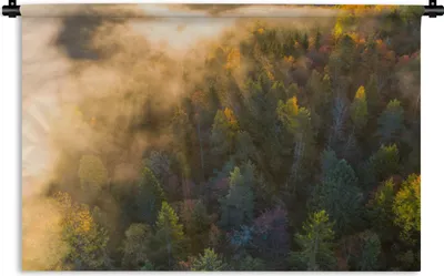 Produktbild von MuchoWow® Wandteppich Wandbehang Wald - Nebel - Sonnenuntergang 90x60 cm Tapisserie Dekoration Wandtuch - Wandskulpturen - Bildteppich