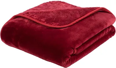 Produktbild von Gözze Kuscheldecke Cashmere-Feeling Premium 180 x 220 cm rot (37)