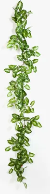 Produktbild von artplants.de Syngonium Girlande künstlich AOLOA, grün-weiß, 180cm - Purpurtute Kunstgirlande
